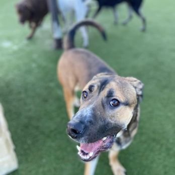 Quả Xổ Số Miền Nam Nâng Tầm Cuộc Sống Số Của Bạn